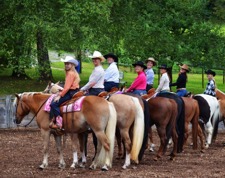 Horsemanship Weekend, Reitkurs Birkenhof Bachs